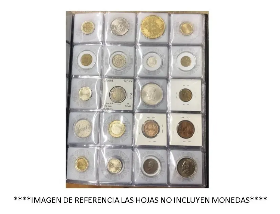 Hojas BCW USA para Monedas en Cartón (x20) – Organización y Protección Premium