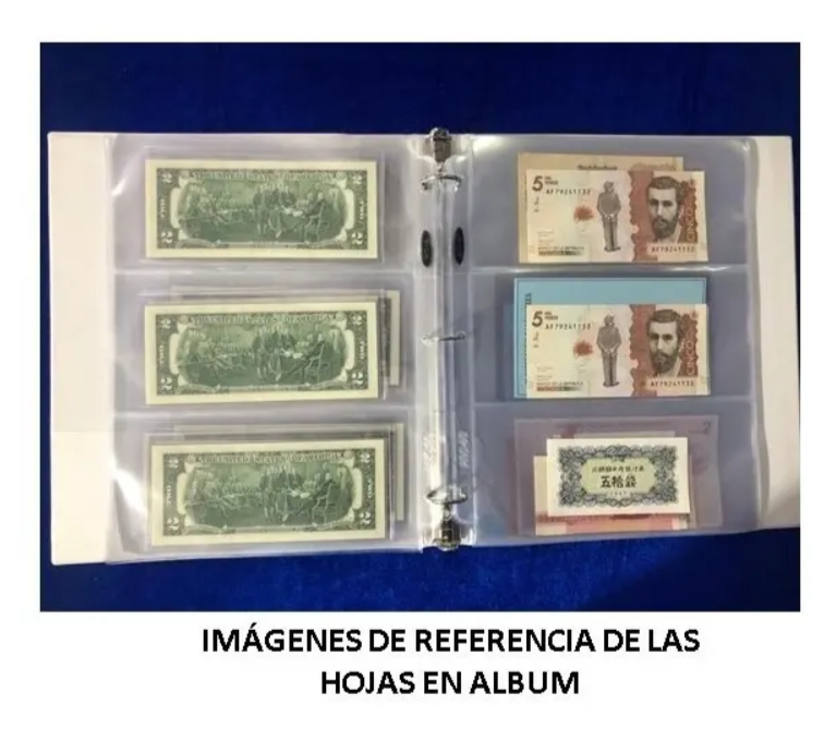 Hojas Bcw Para Albumes De Billetes 3 Compartimentos X 20 Ud