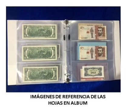Hojas Bcw Para Albumes De Billetes 3 Compartimentos X 20 Ud