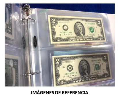 Hojas Bcw Para Albumes De Billetes 3 Compartimentos X 20 Ud