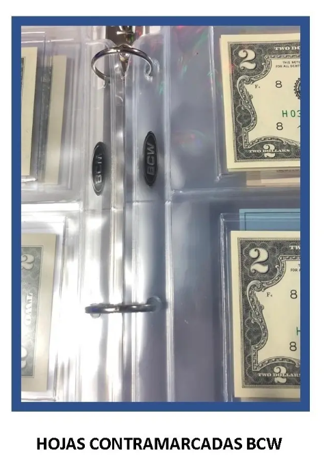 Hojas Bcw Para Albumes De Billetes 3 Compartimentos X 20 Ud