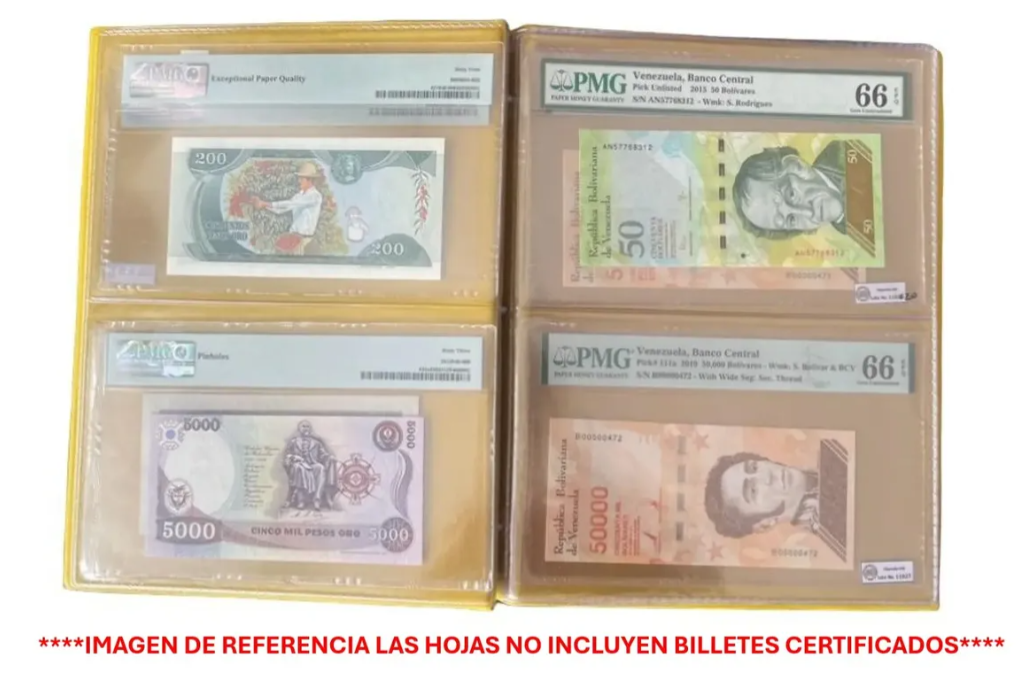 Hojas para Billetes Certificados 2 Espacios X 20 Uds Calidad Excelente