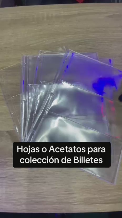 Hojas para Billetes de Colección x20 – Fundas Numismáticas Resistentes y Transparentes