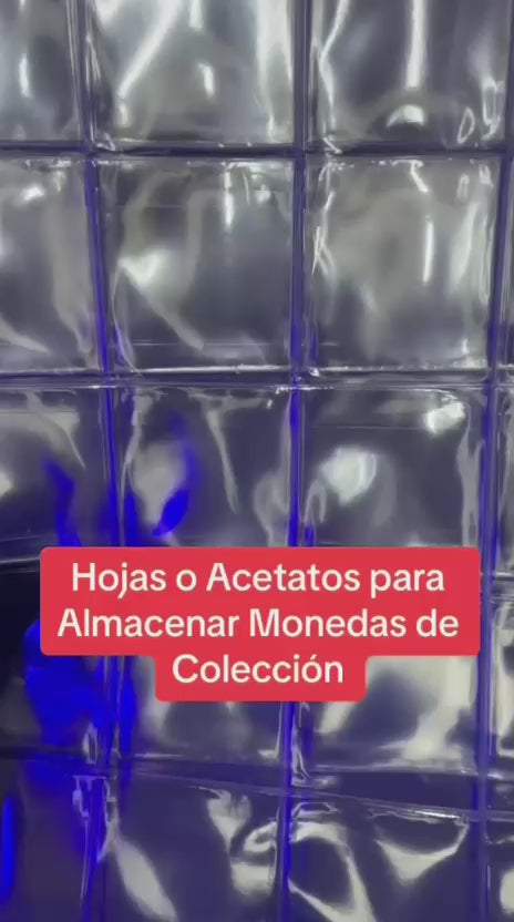 Hojas con Bolsillo o Solapa para Coleccionar Monedas x20  Excelente Calidad